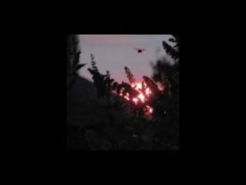 UD Nox Lost Unknown Song