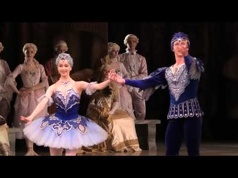Maria Ilyushkina & Nikita Korneev Илюшкина и Корнеев (Mariinsky) Bluebird pas de 2, Sleeping Beauty