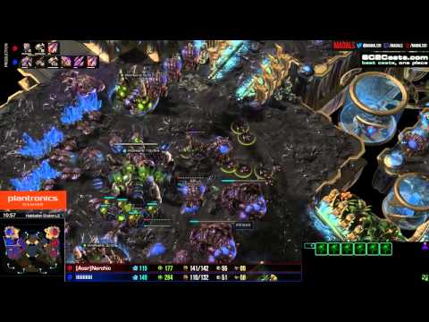 Stephano v Nerchio   ZvZ