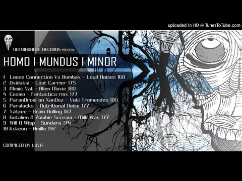 Will O Wisp - Sundara