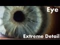 The Human Eye in Extreme Detail