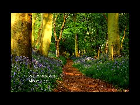 [Album] Destul || Vali Pentea Sava