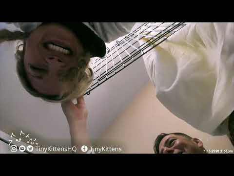 Daring rescue after I accidentally trapped myself... #TNRfail