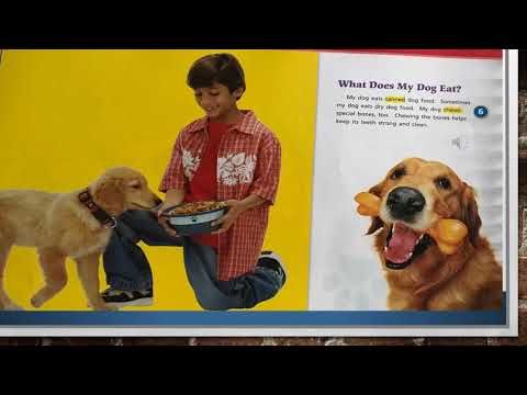 DOGS INFORMATIONAL TEXT