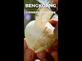 Bengkoang (Jicama) video