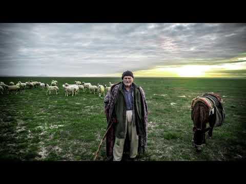 Ruken Naz - Canın Olayım | Muhteşem Türkü