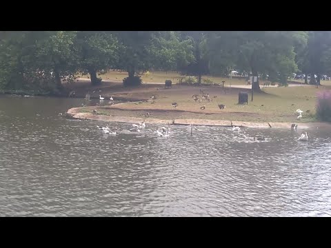 Armthorpe to Sandall Park walk