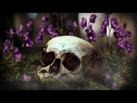 Poison or Potion? The Dark History of Deadly Plants 