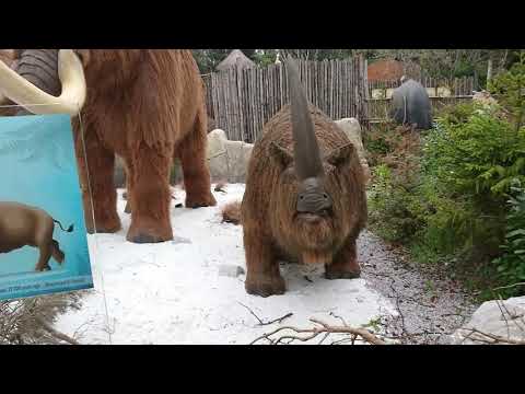 Ice Age At West Midlands Safari Park, April 2019