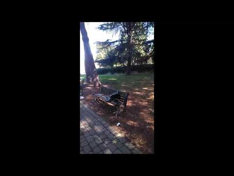 Filmato PARCO DELLA RESISTENZA VITTUONE