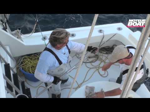 Moteur Boat - Le petit journal de Miami - Mark the Shark