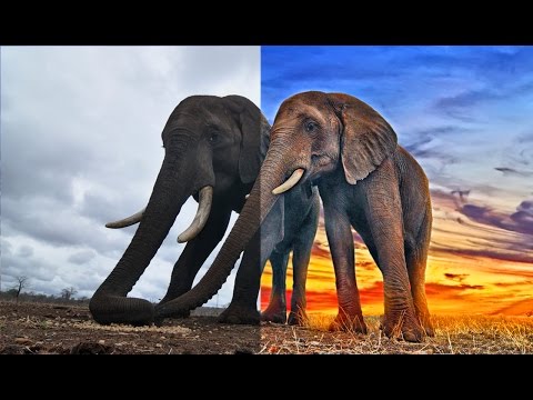 Neon Glow Effect Portrait Photoshop Tutorial