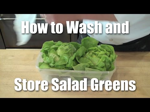 download lagu mp3 mp4 How To Wash Salad, download lagu How To Wash Salad gratis, unduh video klip How To Wash Salad