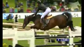 Video koně Carpalo 3