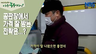 [방울토마토 농장에 씨름꾼이 산다] 지치지 않아! 영석 씨의 24시