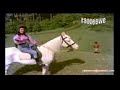 DILRUBA AA MERI BAHON MEIN AA YEHI HAI ZINDGI