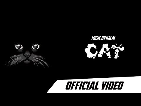 🐱 cat || official video || music by kalai || dj remix || indian mix