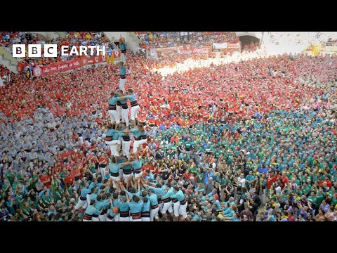 Can This Human Tower Defy Gravity? | Forces of Nature | BBC Science