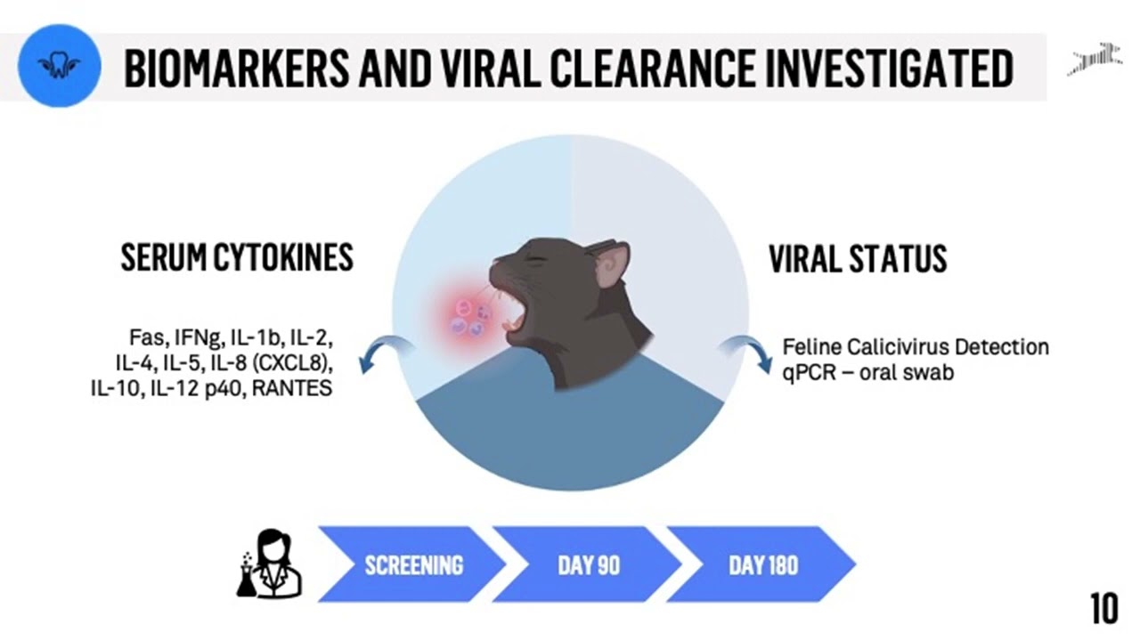 Pilot Efficacy of Allogeneic Uterine Derived Mesenchymal Stromal Cells for the Treatment of FCGS