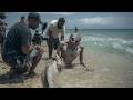 Unbelievable Mermaid Encounters Deep In The Ocean That Scientists Can T Explain