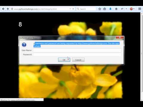 Python Challenge 08 INFLATE THIS BEE