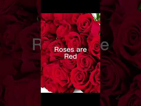 Send this to your mum ❤️