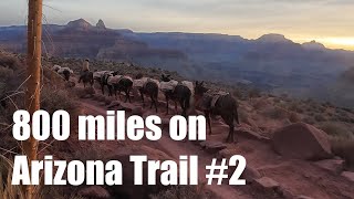 Through Hiking Arizona Trail #2 [アリゾナ・トレイルのスルー・ハイク Day 4-8]