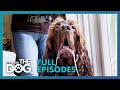 Victoria Faces A Dog With OCD Famous Owner Season 2 Episode 5 UK