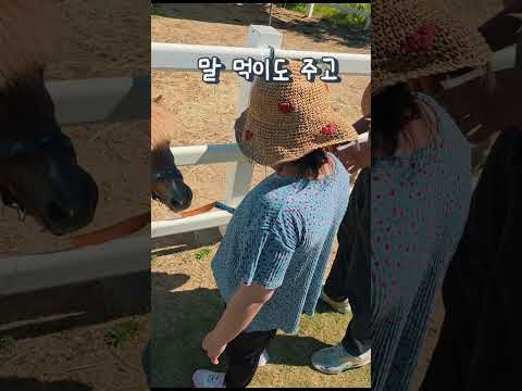 [2026새영천알림이단✨] 말산업특구도시 영천
