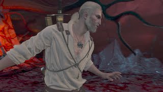 プレイ時間が数千時間を超えた男のウィッチャー3
