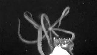 Underwater recorded creepy