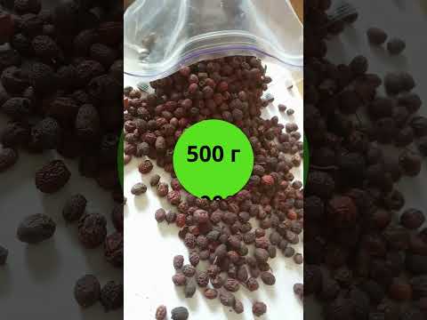 Боярышник плод (1 кг) - фото 1 - id-p2362907662