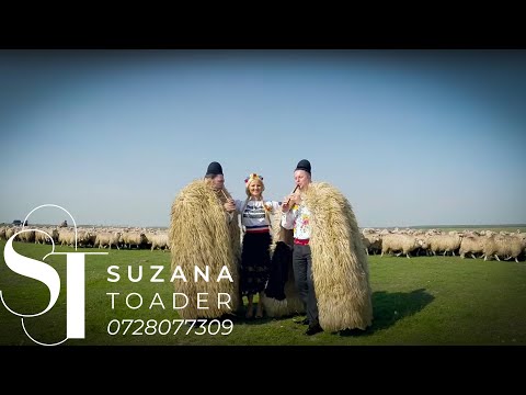 Suzana Toader si Felician Nicola - Cioban ca si mine nu-i