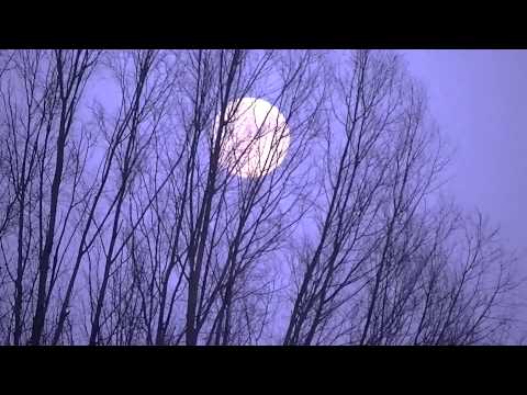 MongoTV_197 - Night Test 4 Moon 200X Zoom  JVC Everio GZ-HM300 Camcorder