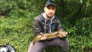 Ловля налима на малых реках осенью