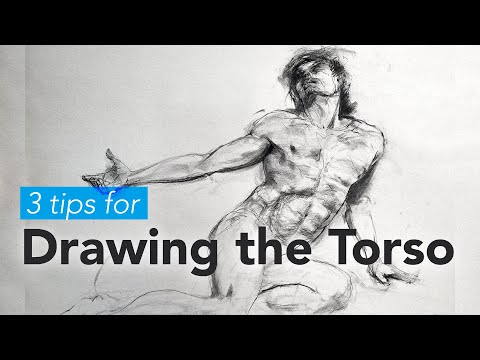 3 Tips for Drawing the Torso