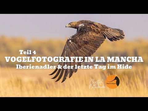 Vogelfotografie in La Mancha, Spanien – Iberienadler & Ein Tag im Hide | Bird Photography, Teil 4