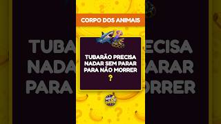 Capa de Corpo dos Animais #01