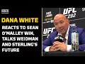 Dana White Reacts To Sean O'Malley Win, Weidman and Sterling's Future, More | UFC 292 | MMA Fighting