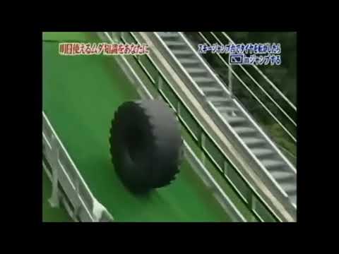 魚の劇的な無駄使い