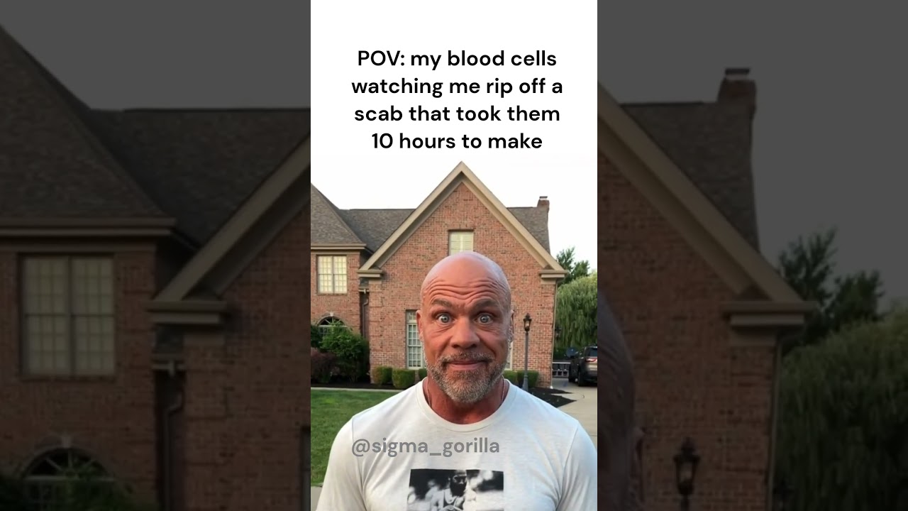 Bald guy staring to camera - Meme 🦍