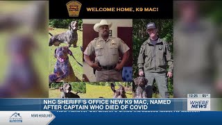 New Hanover Co. Sheriff’s Office introduces latest K9 addition