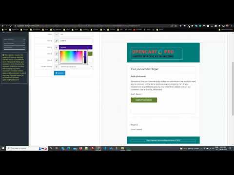 Abandoned Cart PRO Quick Walk-through - OpenCart