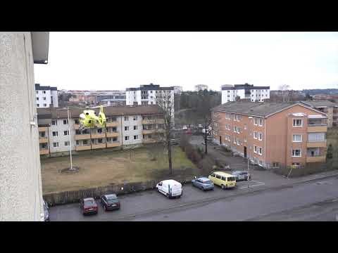 Trafik dårar finns det gott om