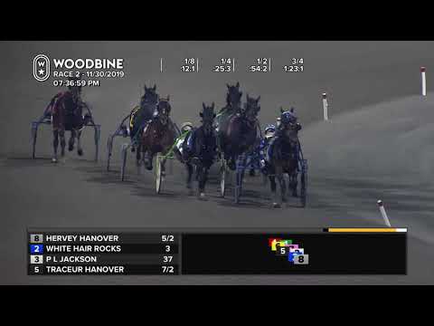 Woodbine, Mohawk Park, November 30, 2019 Race 2