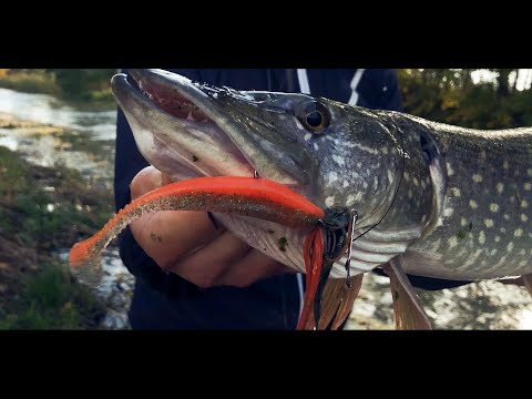 Angeln mit Chatterbait | Adrian Prus zeigt Euch wie und Was es zu beachten gibt.