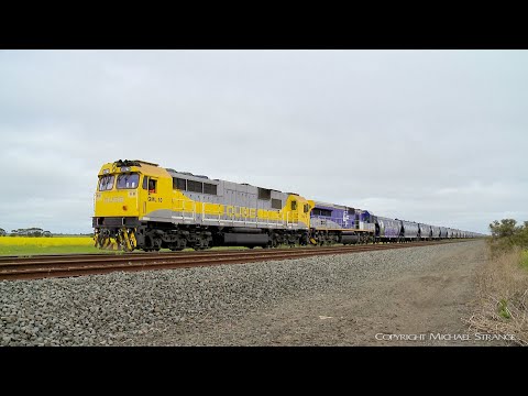 7762V QUBE Grain Train With GML10 & CM3316 (21/10/2019) - PoathTV Australian Railways