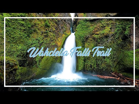 youtube embeded image