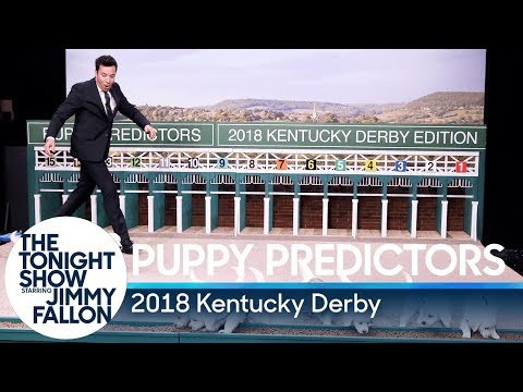 Puppies Predict the 2018 Kentucky Derby