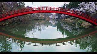 8K FPV DRONE TEST with SONY α1 x ff1.8 20mm G